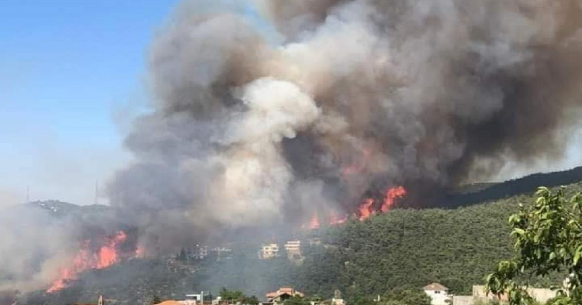 حريق كبير في جنوب لبنان ومناشدات للمساعدة السريعة