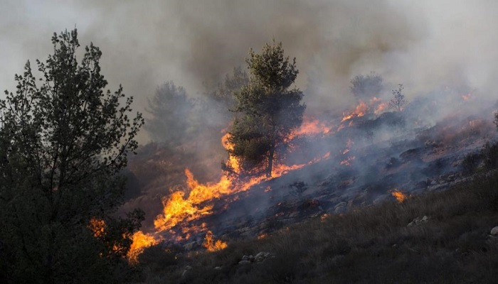 حريق كبير على الحدود بين الأردن و