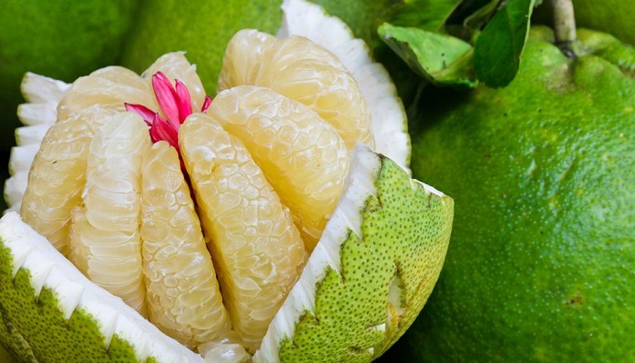 أخصائية تغذية تنصح فئة من الناس بتجنب تناول فاكهة البوملي
