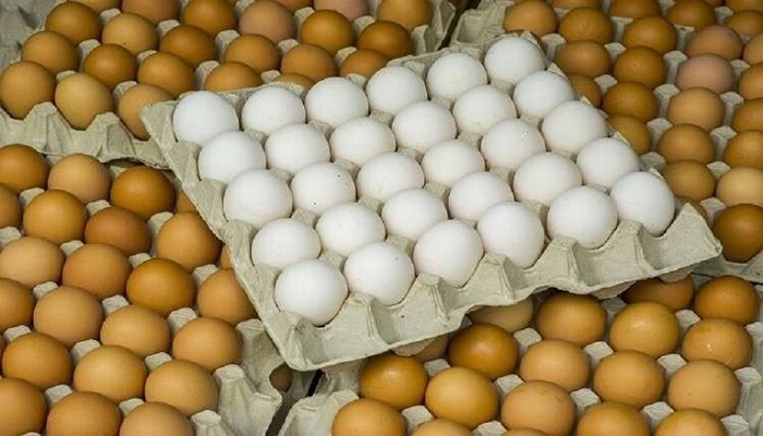 كيف نختار بيض الطعام؟
