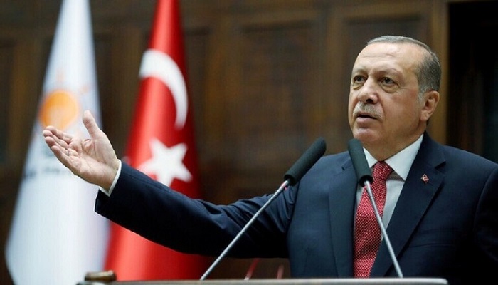 أردوغان ينتقد تصريحات