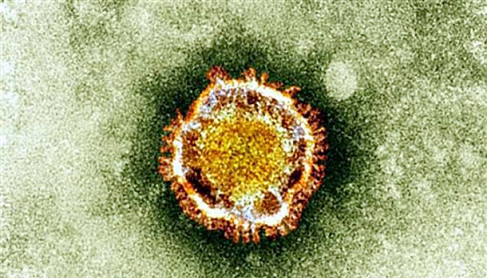 نيويورك تايمز: الاستخبارات الأمريكية لديها معلومات عن منشأ فيروس كورونا

