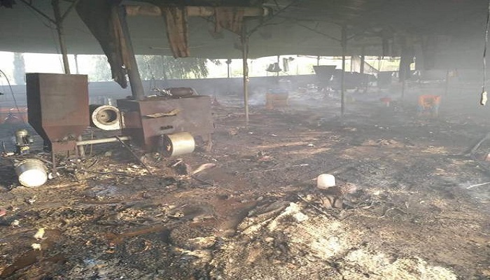 نفوق 10 آلاف صوص دجاج إثر حريق مزرعة في بلدة قباطية
