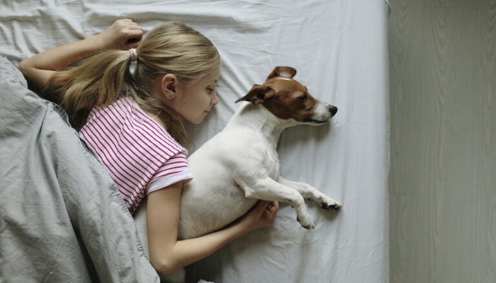 دراسة تكشف عن فائدة هامة لمشاركة الأطفال السرير مع حيواناتهم الأليفة
