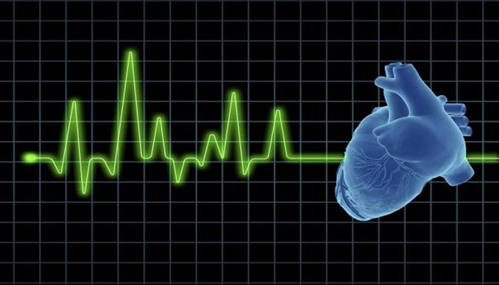  كيف يمكن التحقق من معدل ضربات القلب؟