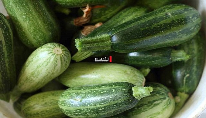  تعرف على فوائد الكوسا
