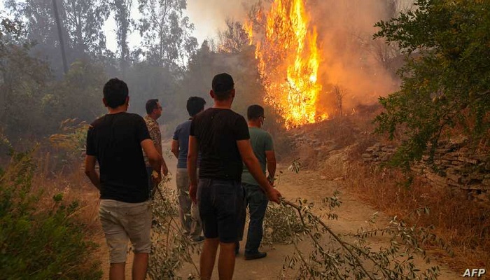 أردوغان يعلن مناطق الحرائق جنوبي البلاد منكوبة
