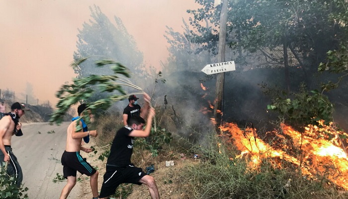 الجزائر.. ارتفاع حصلية ضحايا حرائق الغابات إلى 65 ضحية منهم 28 عسكريا
