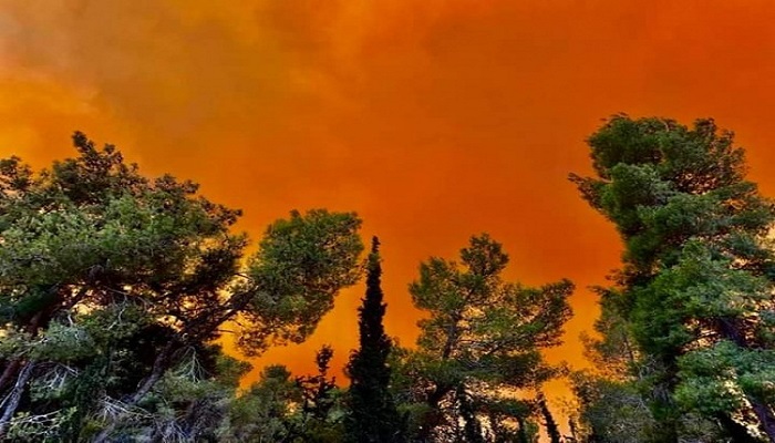 صورة لـ