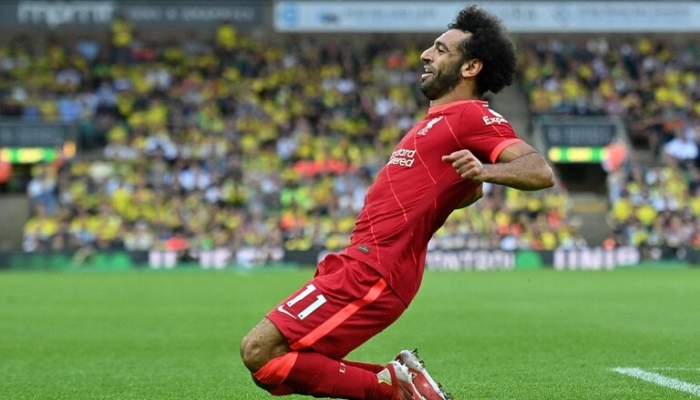 ميدو: محمد صلاح أفضل لاعب عربي في التاريخ

