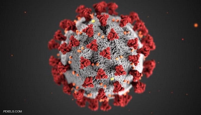 عالم فيروسات يتحدث عن فئة من البشر غير معرضة لخطر الإصابة بكورونا

