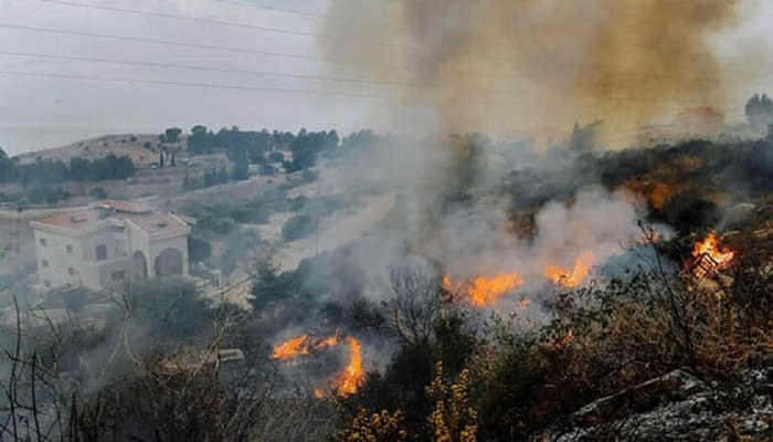 سوريا: 28 حريقا في يوم واحد تقضي على 100 دونم من الزيتون