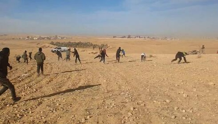 شرطة الاحتلال تفتح تحقيقا في اقتلاع الأشتال التي زرعها الصندوق القومي اليهودي في النقب 

