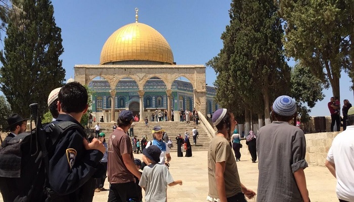 بحراسة مشددة من قوات الاحتلال.. مئات المستوطنين يقتحمون المسجد الأقصى 