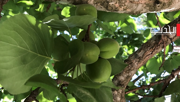 حالة الطقس: أجواء غائمة جزئيا وتوقع سقوط زخات من الأمطار
