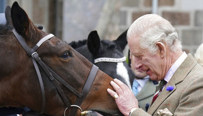 الملك تشارلز يقرر بيع 14 من خيول الملكة اليزابيث
