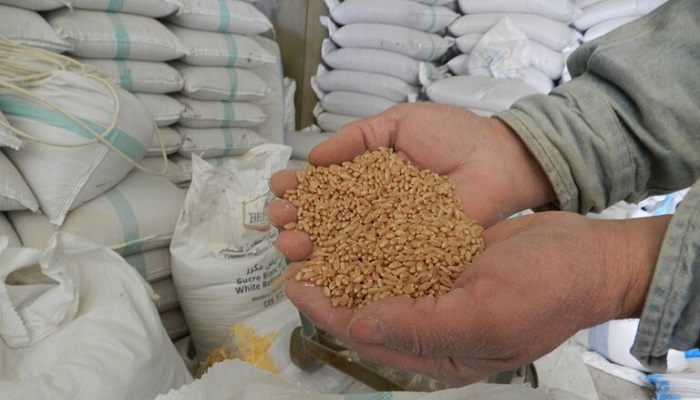 روسيا تفرض حظرا مؤقتا على تصدير منتجات زراعية
