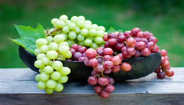 العنب فاكهة تدعم صحة الجسم
