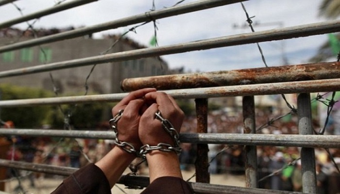 المنظمات الأهلية تطالب بإطلاق سراح الأسرى ومحاسبة الاحتلال 

