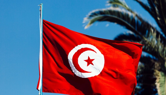 تونس: اعتماد دستور سعيّد الجديد ومرحلة يلفها الغموض
