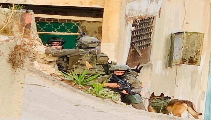 عملية عسكرية في جنين..