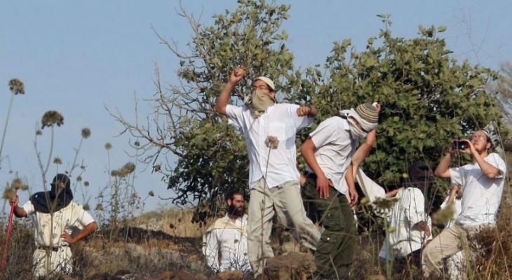نابلس: 21 إصابة باعتداء