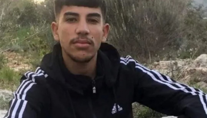 اقرأ الخبر
