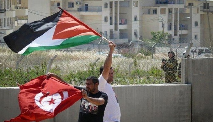 تونس تدعو المجتمع الدولي إلى التحرك لوقف جرائم الاحتلال بحق الفلسطينيين 

