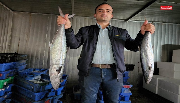ضريبة جديدة يشكو منها تجار الأسماك في قطاع غزة


