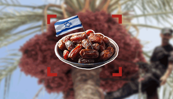 اقرأ الخبر