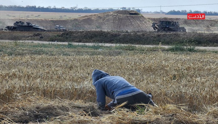 
توغل محدود لجرافات الاحتلال جنوب قطاع غزة
