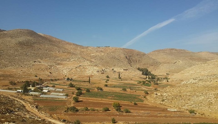 "عين ساميه" نموذج