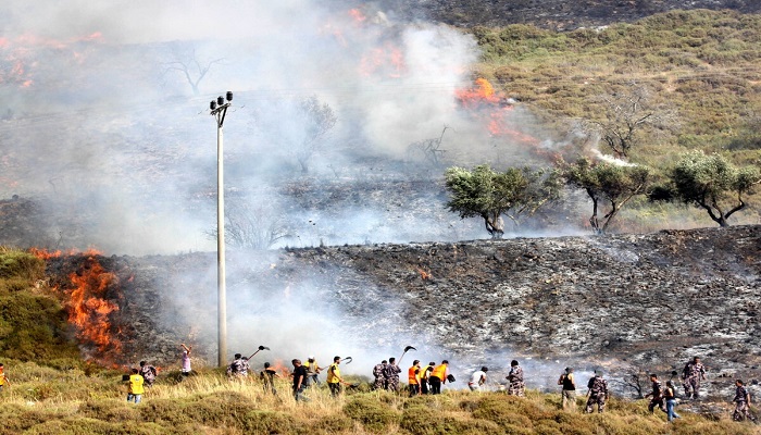 مستوطنون يضرمون النيران في أراضي بورين جنوب نابلس
