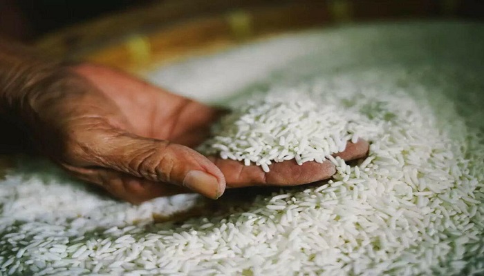 الهند تحظر تصدير الأرز الأبيض غير البسمتي للحد من ارتفاع الأسعار المحلية
