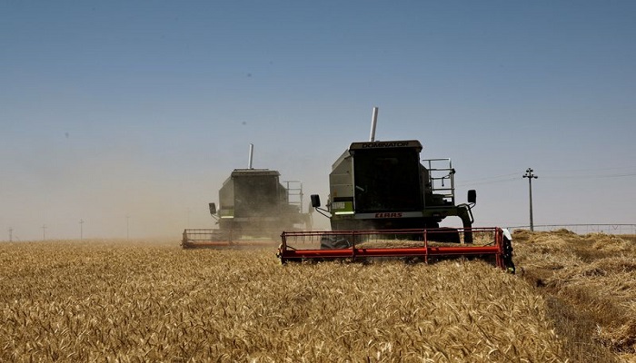 احتياطيات العراق من القمح تكفي حتى يوليو 2024
