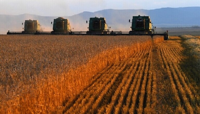 مصر تعلن استعدادها لإعادة تصدير القمح الروسي لدول إفريقيا
