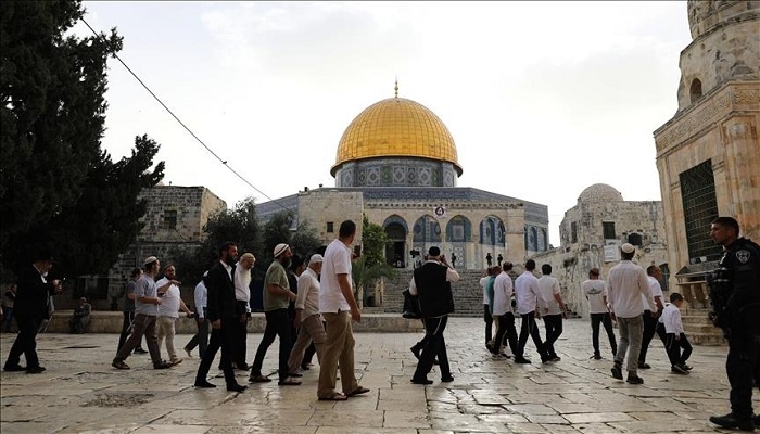 محافظة القدس: 151 حالة