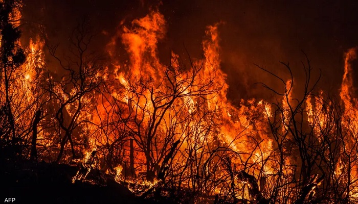 تجدد الحرائق في غابات شرق الجزائر
