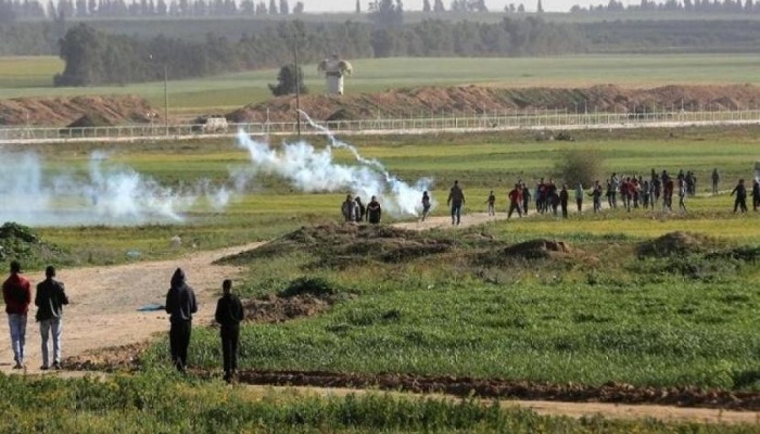 الاحتلال يطلق قنابل الغاز صوب الأراضي الزراعية شرق المغازي
