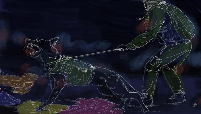 عن إهانة حرائر الخليل..