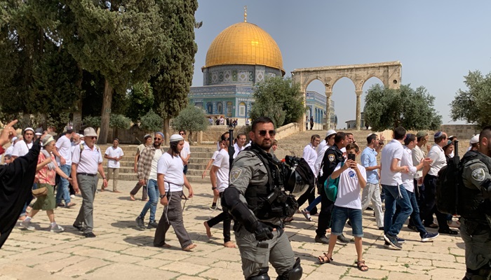 وسط حماية من قوات الاحتلال.. عشرات المستعمرين يقتحمون المسجد 