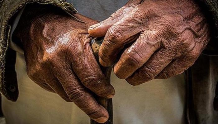 6% من إجمالي السكان في فلسطين من كبار السن
