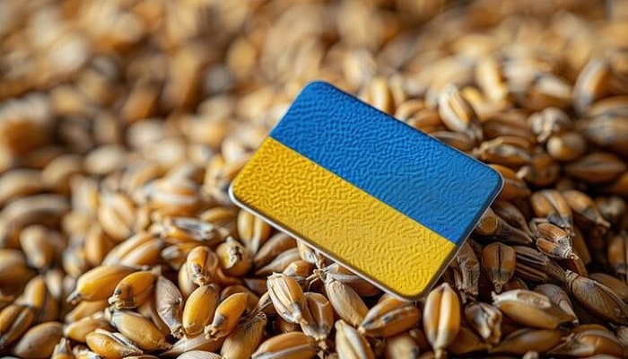 صادرات الحبوب الأوكرانية تقفز 59% في أكتوبر
