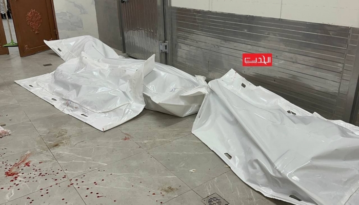 شهداء وجرحى في غارات