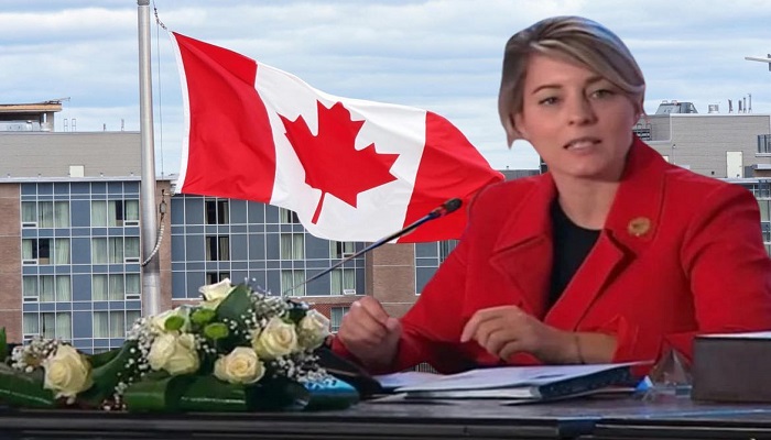 وزيرة الخارجية الكندية تعلن وقف صادرات السلاح إلى الاحتلال 
