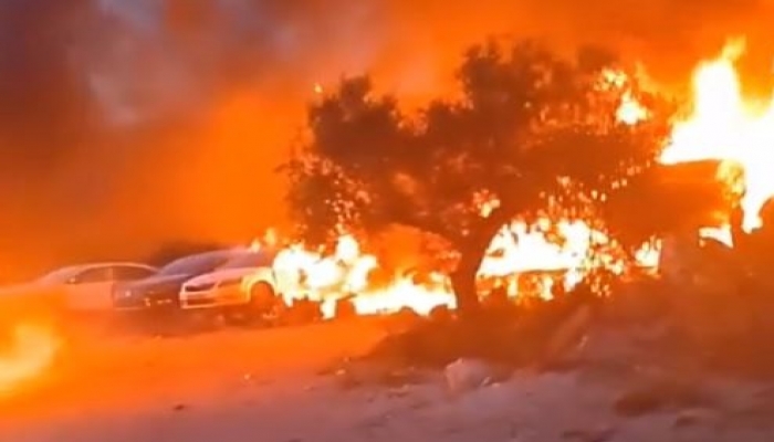 مستعمرون يحرقون أراضي زراعية و
