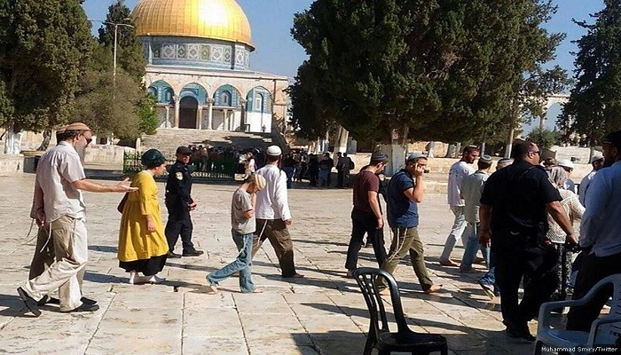 تحت حماية قوات الاحتلال..