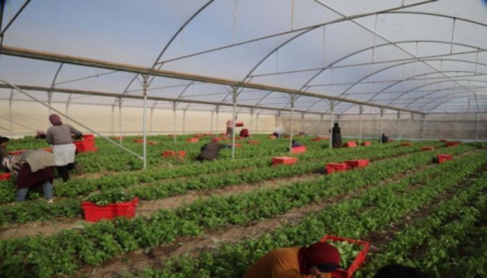 إطلاق الإطار التنسيقي