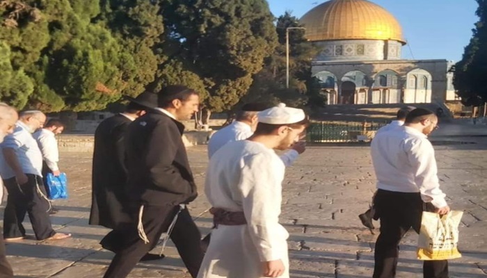 مستوطنون يقتحمون المسجد الأقصى
