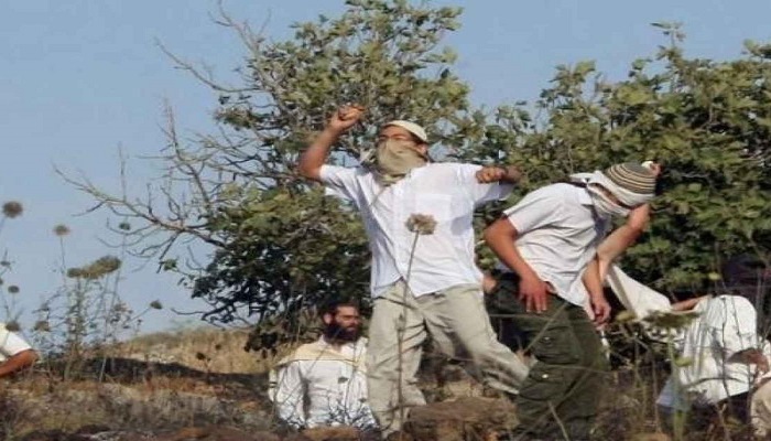 مستوطنون  يهاجمون طاقم مجلس قروي دوما جنوب نابلس
